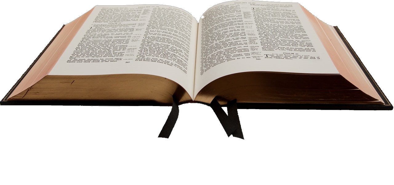 Bible Overview The Berean Way 30-ways-to-say-yes-in-english-absolutely-you-bet-good-undoubtly-i