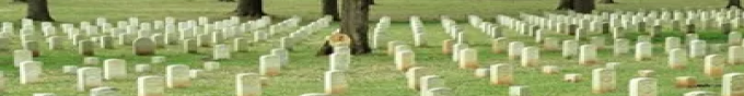 cemetary image cemetary image